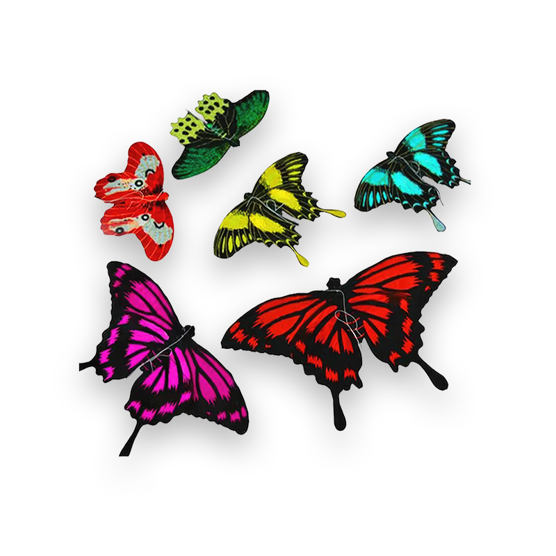 cerf-volant-papillon-chinois