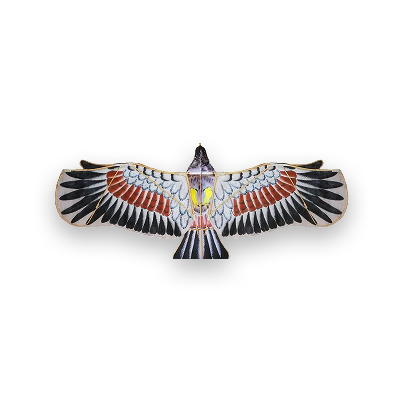cerf-volant-oiseau-chinois