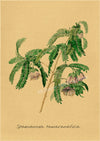 tableau-chinois-r-tro-53-fleurs