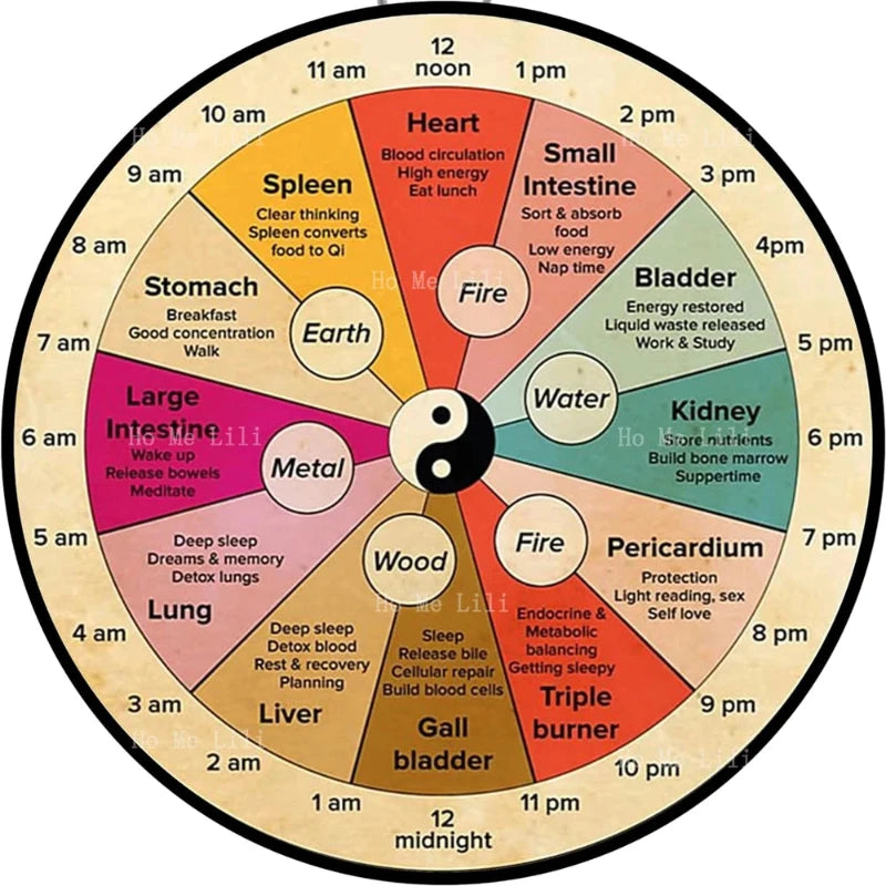 horloge-chinoise-circadienne