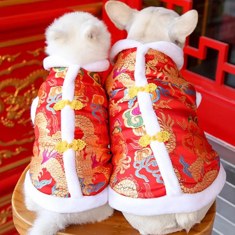 d-guisement-chinois-chien
