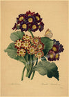 tableau-chinois-r-tro-53-fleurs
