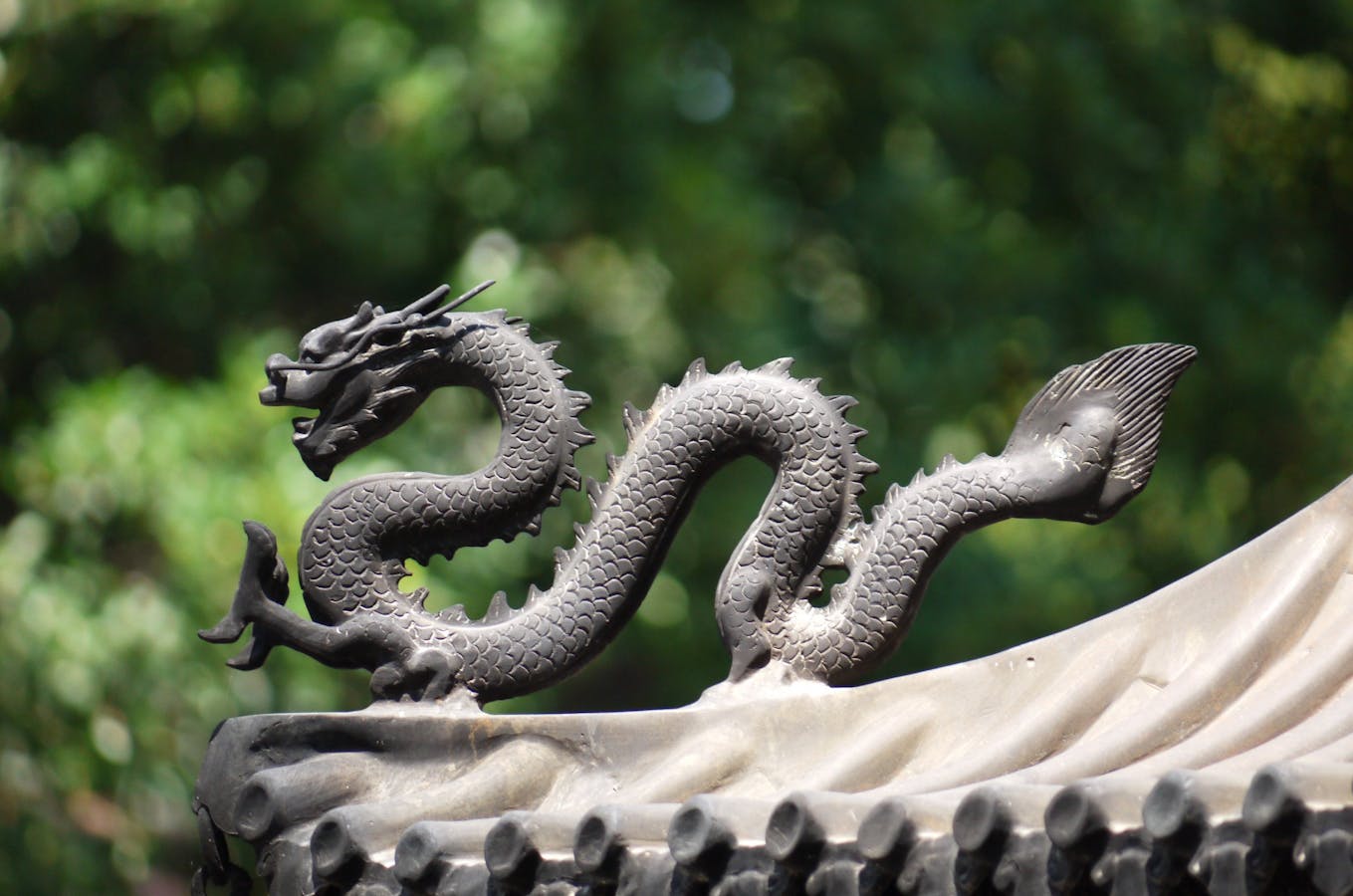 le-dragon-dans-lastrologie-chinoise-quelle-est-sa-place-exactement