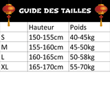 hanfu-costume-traditionnel