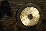 gong-chinois-arboreal-m-tal