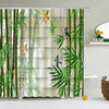 rideau-chinois-bambou-plantes-vertes