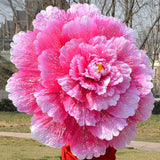 ombrelle-chinoise-fleurs-de-pivoine