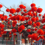 boules-chinoises-papier-rouges-imperm-ables