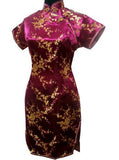 robe-chinoise-cheongsam-phoenix-halloween