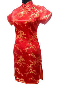 robe-chinoise-cheongsam-phoenix-halloween