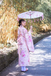ombrelle-chinoise-soie-transparente