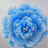 ombrelle-chinoise-fleurs-de-pivoine