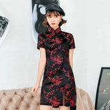cheongsam-robe-dragon-tricot-court