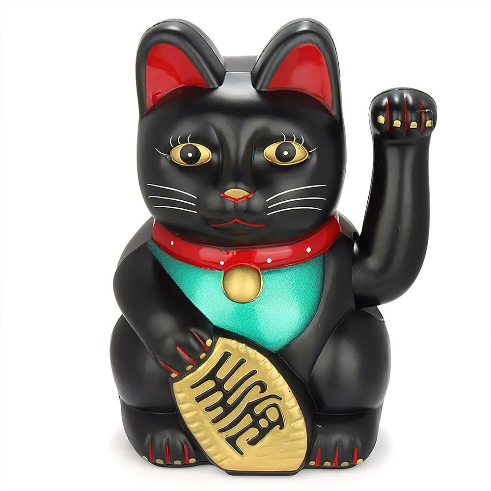 chat-chinois-donkey
