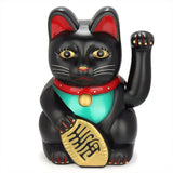 chat-chinois-donkey