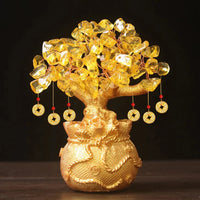 porte-bonheur-chinois-plante
