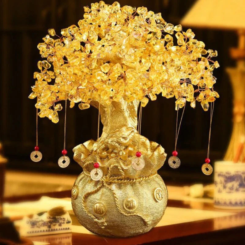 porte-bonheur-chinois-plante