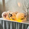 boules-chinoises-papier-fleurs-de-prunier