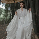 d-guisements-chinois-robe-f-rique