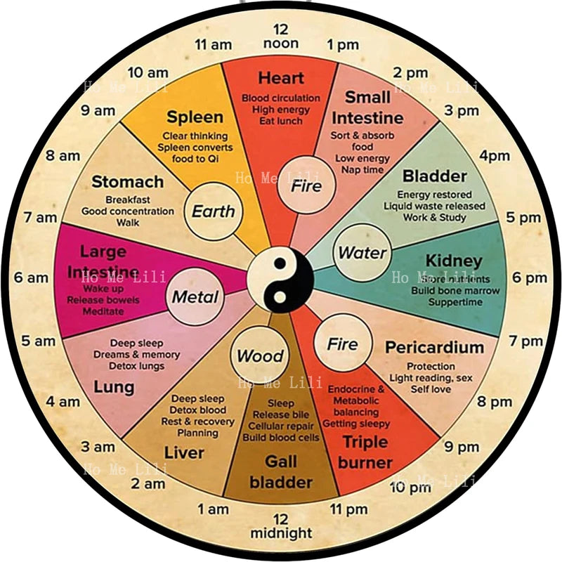 horloge-chinoise-circadienne