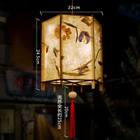 lampion-chinois-portable-palais-diy