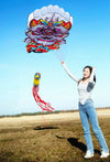 cerfs-volants-chinois-lion-parapente