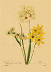 tableau-chinois-r-tro-53-fleurs