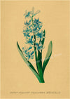 tableau-chinois-r-tro-53-fleurs
