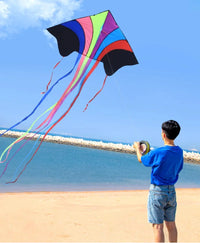 cerf-volant-chinois-grand-arc-en-ciel