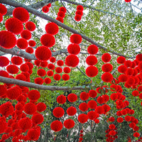 lampe-chinoise-nouvel-an-papier