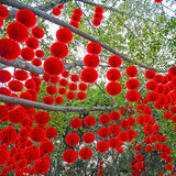 lampe-chinoise-nouvel-an-papier