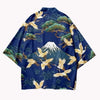 tenue-chinoise-kimono-style-japonais