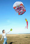 cerfs-volants-chinois-lion-parapente