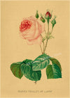tableau-chinois-r-tro-53-fleurs