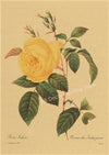 tableau-chinois-r-tro-53-fleurs