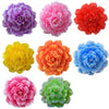 ombrelle-chinoise-fleurs-de-pivoine