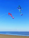 cerf-volant-poisson-grand-adultes