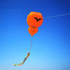cerf-volant-chinois-gourde-souple