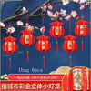 lampion-chinois-plante
