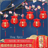 lampion-chinois-plante