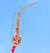cerf-volant-dragon-chinois