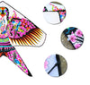 cerf-volant-chinois-hirondelle-grand