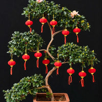boules-chinoises-papier-mini-lanternes