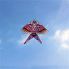 cerf-volant-chinois-hirondelle-grand