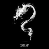tatouage-dragon-chinois-art-punk