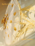 ombrelle-chinoise-japonaise-en-soie