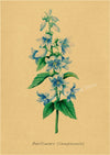 tableau-chinois-r-tro-53-fleurs