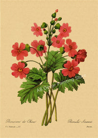 tableau-chinois-r-tro-53-fleurs