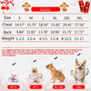 d-guisement-chinois-chien