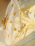 ombrelle-chinoise-princesse-soie